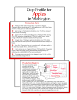 Crop Profile for Apples in Washington
