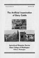 The artificial insemination of dairy cattle