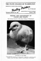 Poultry pointers: Feeding and management of chicks and pullets