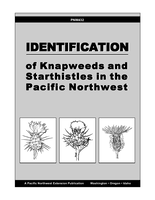 Identification of Knapweeds and Starthistles in the PNW