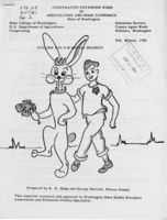 Outline for 4-H rabbit project