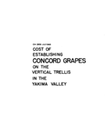 Cost of establishing concord grapes on the vertical trellis in the Yakima Valley