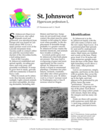 St. Johnswort