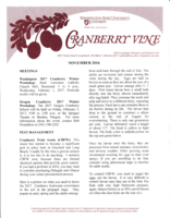 Cranberry Vine, November 2016