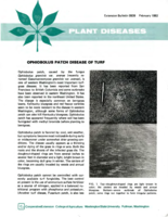 Plant diseases: Ophiobolus patch disease of turf