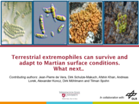 Terrestrial extremophiles can survive and adapt to Martian surface conditions.