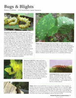 Bugs and Blights, July 2012