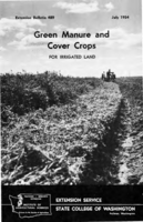 Green manure and cover crops for irrigated land