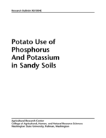 Potato use of phosphorus and potassium in sandy soils