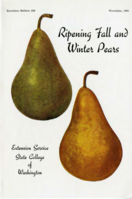 Ripening fall and winter pears