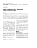 Infection of Ponderosa Pine Trees by Armillaria ostoyae: Residual lnoculum versus Contagion