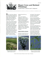 Hoary cress and related whitetops (Cardaria draba, C. pubescens and C. chalapensis)
