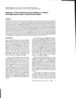 Sequence of Trees Attacked by Spruce Beetles in a Mature Even-Aged Spruce Stand in South-Central Alaska