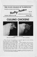 Culling chickens
