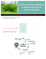 Control of common barberry to reduce stem rust of wheat and barley