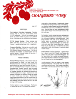 Cranberry Vine, July 1997