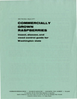Commercially grown raspberries: Insect, disease, and weed control guide for Washington state