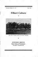 Filbert culture