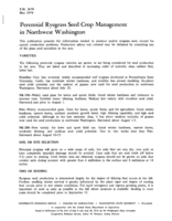 Perennial ryegrass seed crop management in northwest Washington