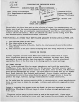 Floor coverings: rugs and carpets