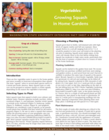 Vegetables: Growing squash in home gardens