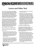 Lawns and other turf