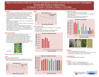 Rapid, Highly Sensitive and Quantitative Molecular Assays for Investigating Virus-Host and Virus-Virus Interactions using Negative-Stranded RNA Viruses as a Model System.