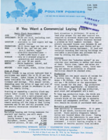 Poultry pointers: If you want a commercial laying flock