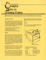 Helpful hints on growing fryers