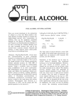 Fuel alcohol: Butanol/acetone