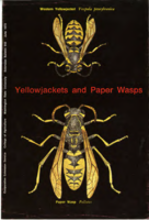 Yellowjackets and paper wasps