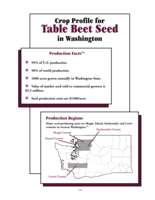 Crop Profile for Table Beet Seed in Washington