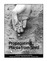 Propagating Plants from Seed