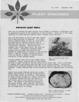 Plant diseases: Potato leaf roll