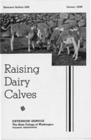 Raising dairy calves