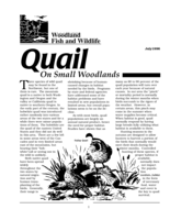 Managing Quail on Small Woodlands