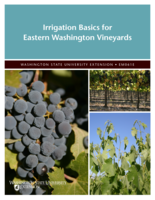 Irrigation basics for Eastern Washington vineyards