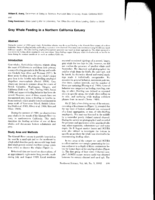 Gray Whale Feeding in a Northern California Estuary in Oregon