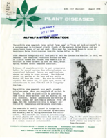 Alfalfa stem nematode