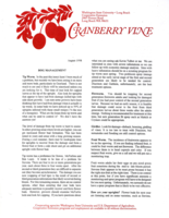 Cranberry Vine, August 1998