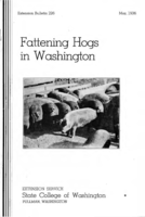 Fattening hogs in Washington