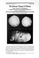 The eelworm disease of potatoes