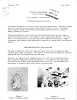 Peach twig borer and its control