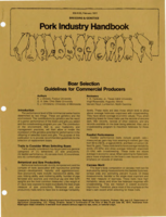 Boar selection: Guidelines for commercial producers