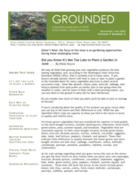 Grounded Newsletter, June 2020