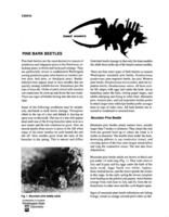 Insect answers: Pine bark beetles