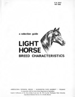 A selection guide: light horse breed characteristics