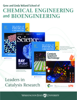 ChEBE Newsletter, 2016