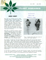 Plant diseases: Root knot