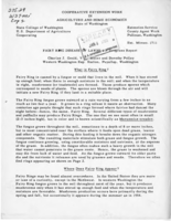 Fairy ring disease of lawns: A progress report